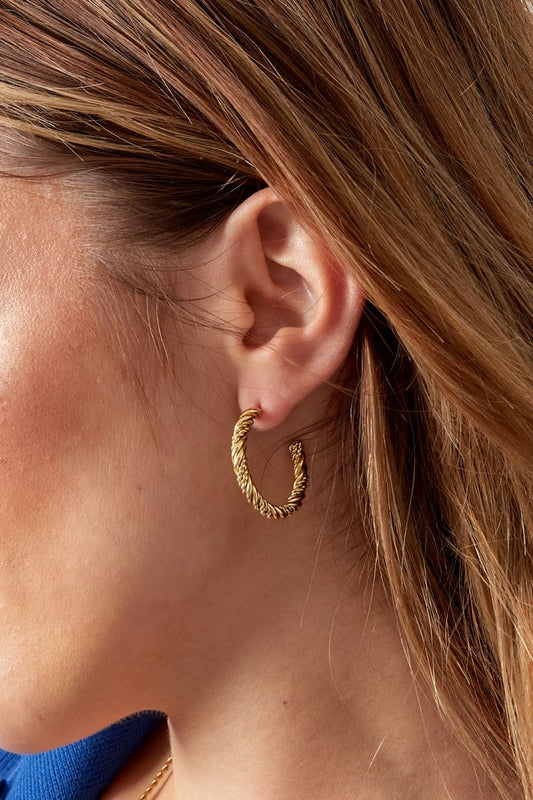 Gedraaide oorringen klein - Zilver