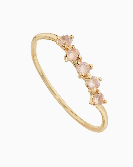 Varanasi Jaipur ring