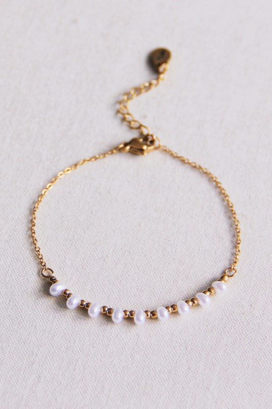 Fijne roestvrijstalen armband met miniparels en kraaltjes