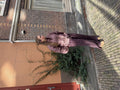 Jacket Strikjes Roze